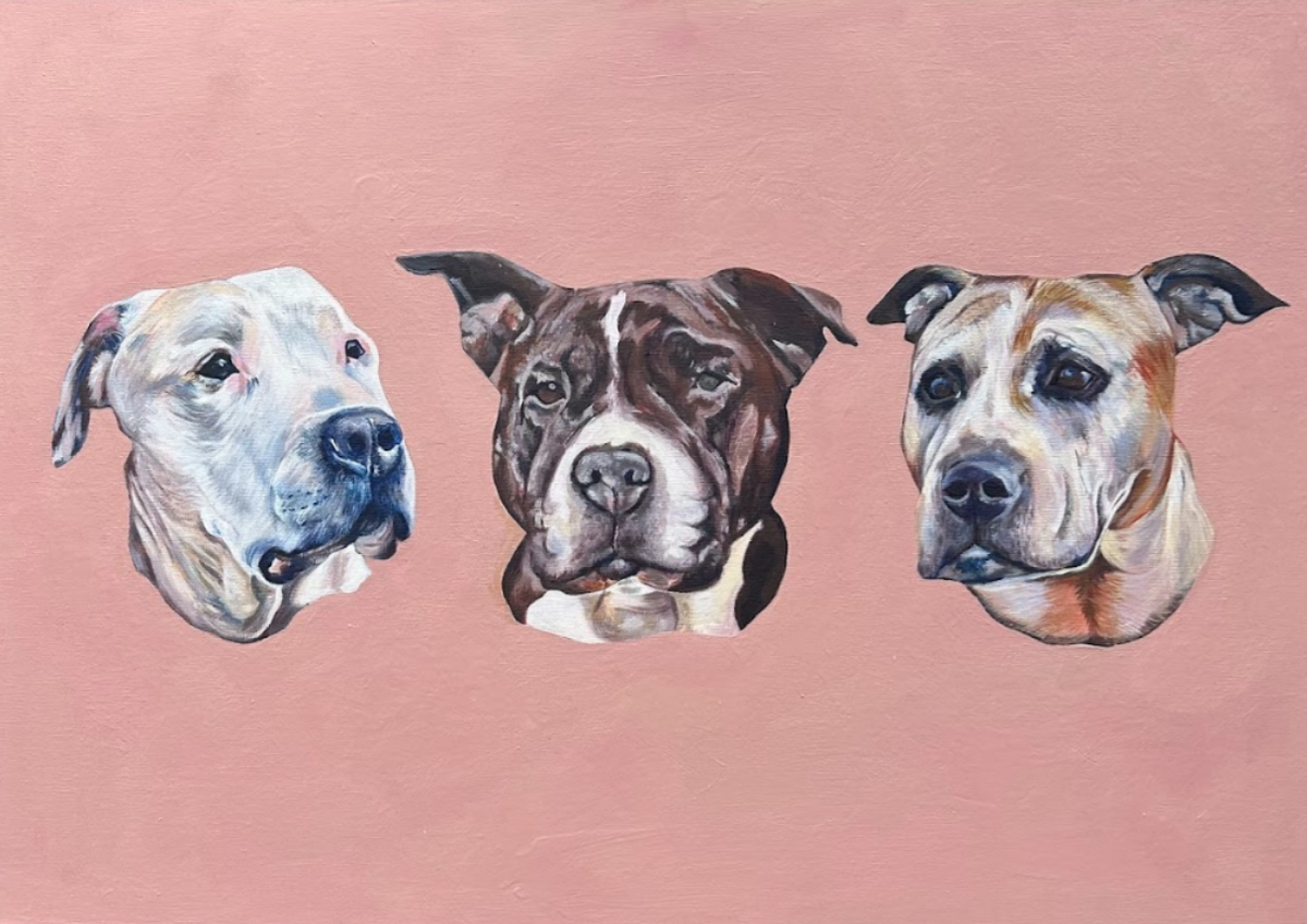 A2 Acrylic Painting on Canvas — image 1 of 1
