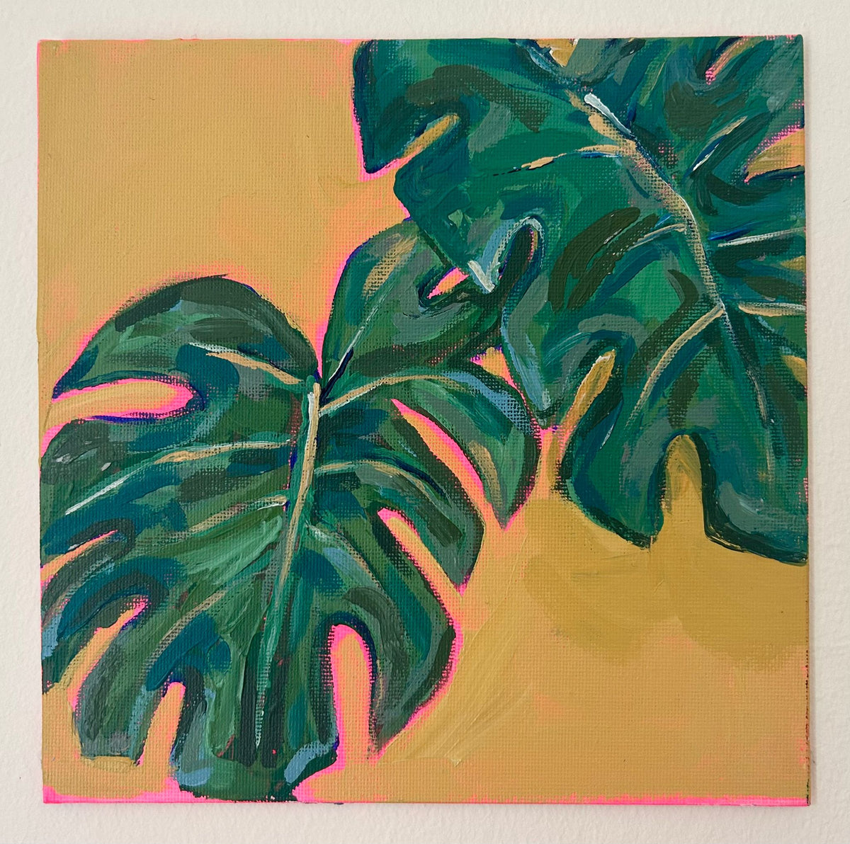 Monstera Deliciosa — image 1 of 2