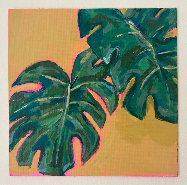 Monstera Deliciosa