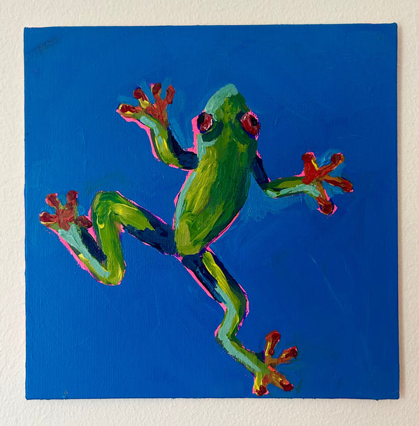 Red-Eyed Tree Frog