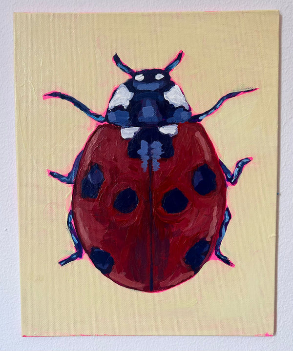 Ladybird
