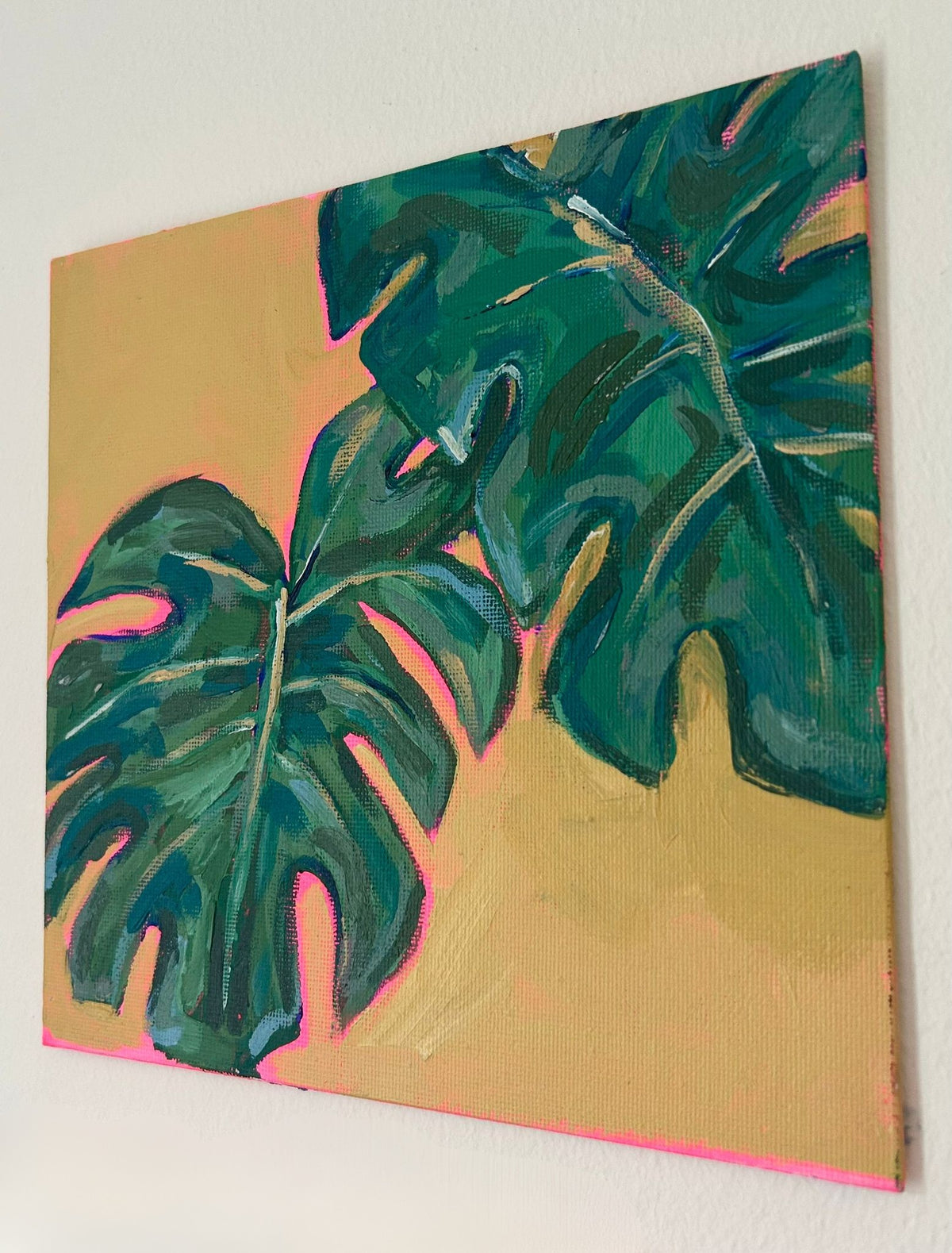 Monstera Deliciosa — image 2 of 2