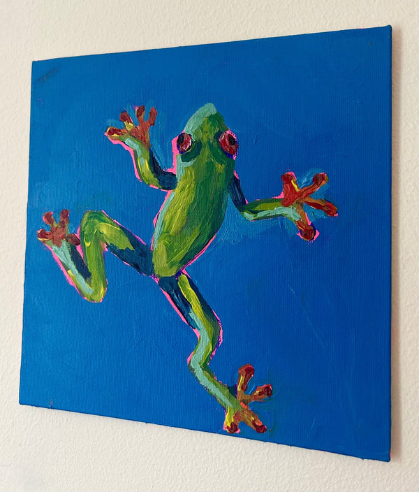 Red-Eyed Tree Frog — image 2
