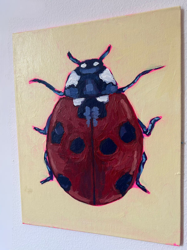 Ladybird — image 2